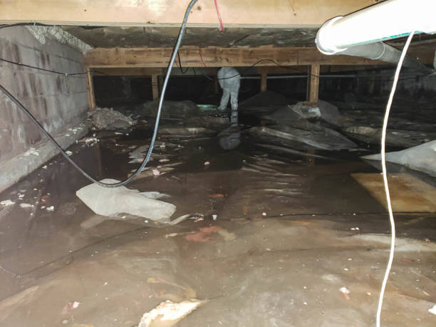 Trusted Water Damage Restoration in Fairfield, CA | Fast, Reliable, and Ready to Assist You